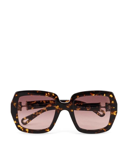 Chloé Brown Acetate Sunglasses