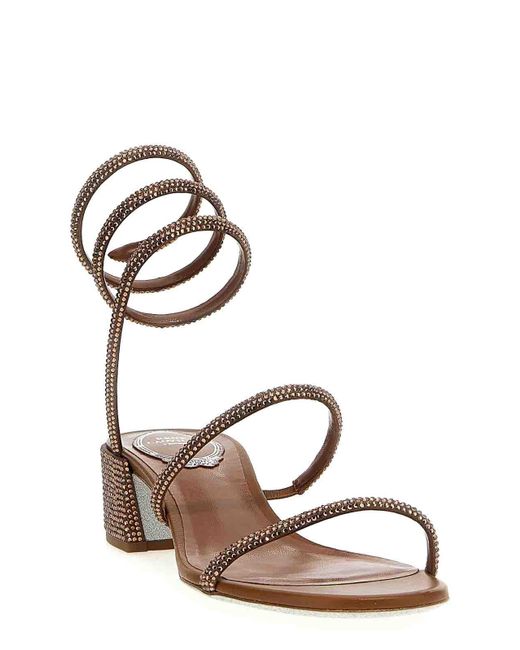 Rene Caovilla Brown Cleo Sandals