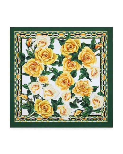 Dolce & Gabbana Green Twill Scarf With Rose (70 X 70)