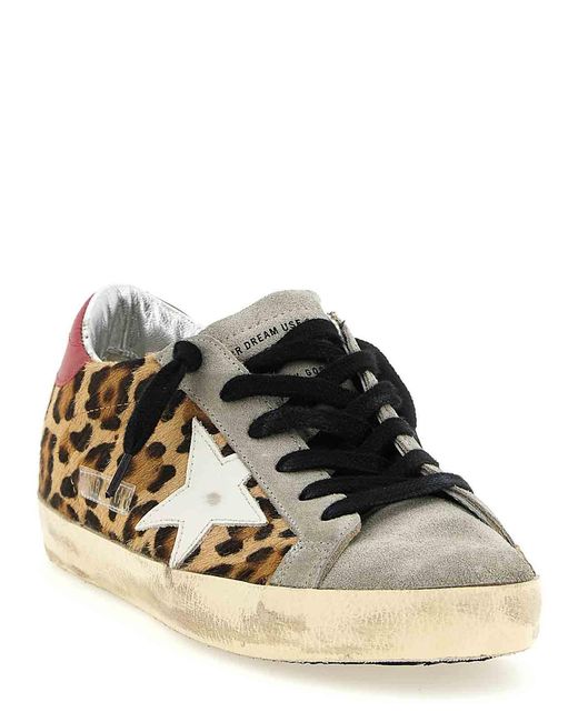 Golden Goose Deluxe Brand Brown Superstar Sneakers