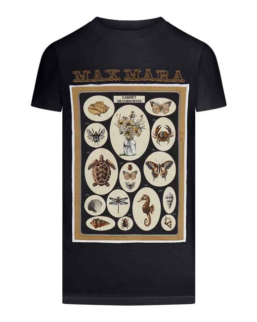 Max Mara Black Cotton Jersey T-Shirt With Print