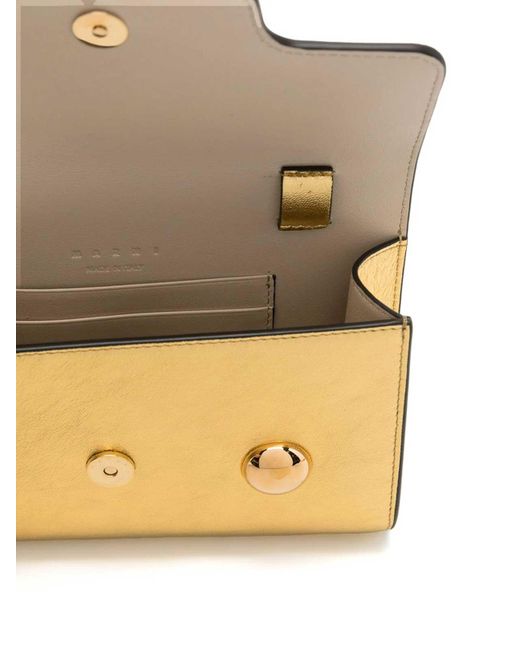 Marni Metallic Bag