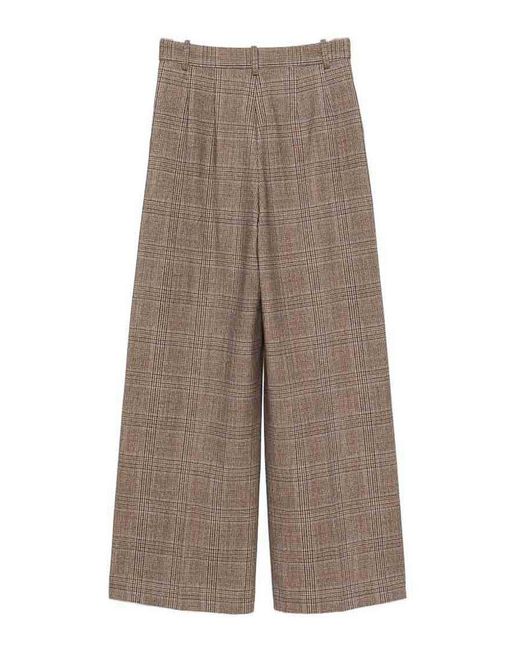 Circolo 1901 Gray Pants