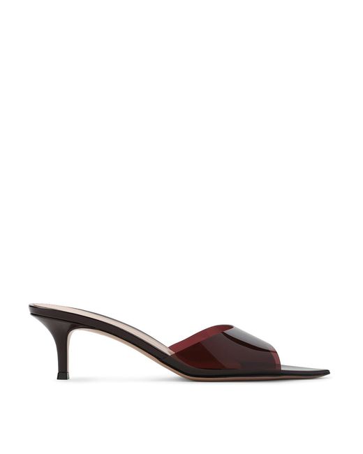 Gianvito Rossi Brown Elle 55 Mules