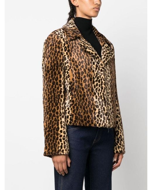 Philosophy leopard cheap sweater
