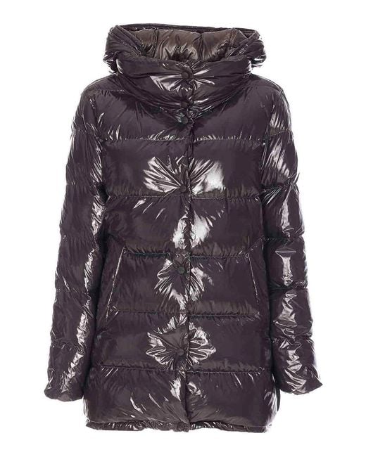Herno Purple Stylish Jacket