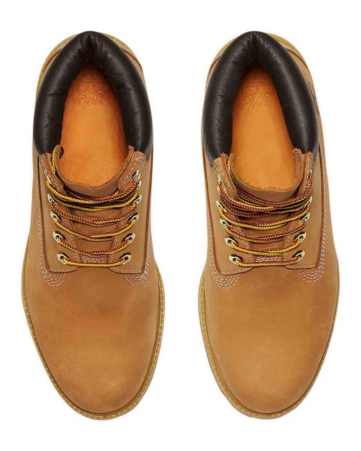Timberland Brown Shoes for men