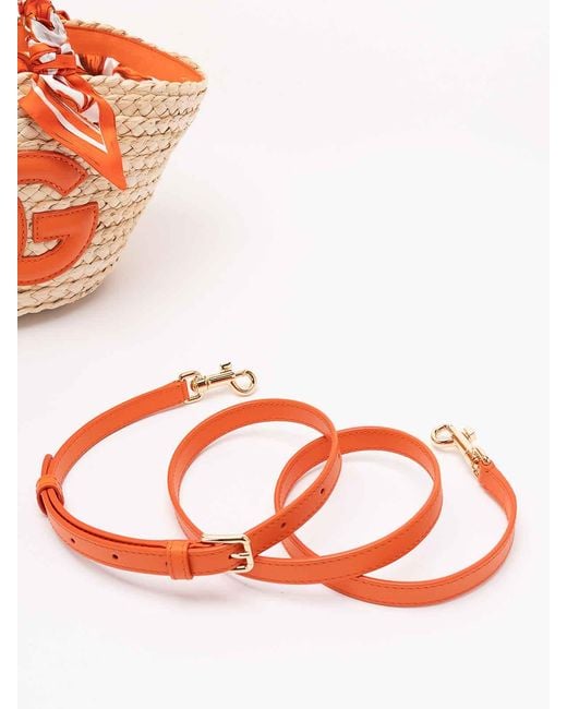 Dolce & Gabbana Orange 'Coffa' Bag