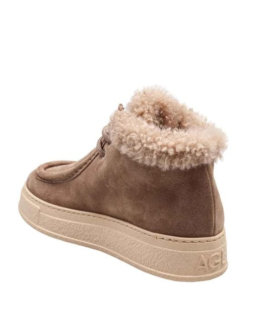 Agl Attilio Giusti Leombruni Brown Fergus Sneaker