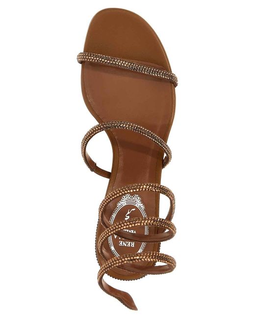 Rene Caovilla Brown Cleo Sandals