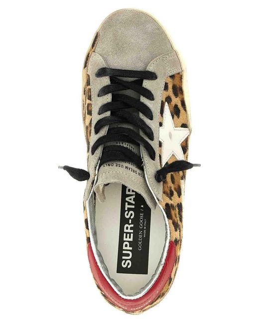 Golden Goose Deluxe Brand Brown Superstar Sneakers