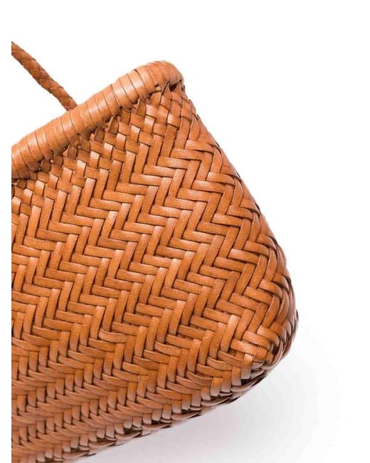 Dragon Diffusion Brown Bag