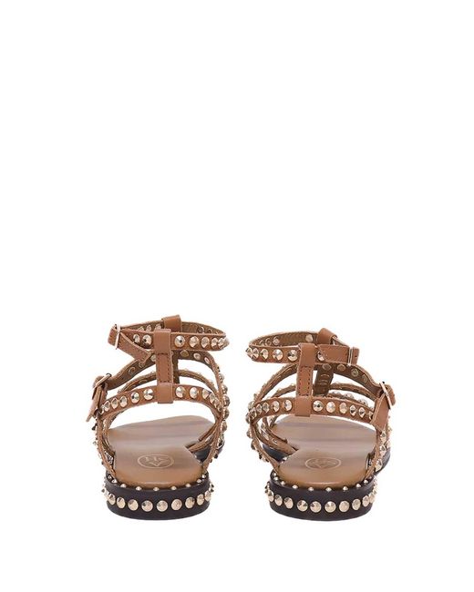 Ash Brown Cachemere Mocha Mou Brass