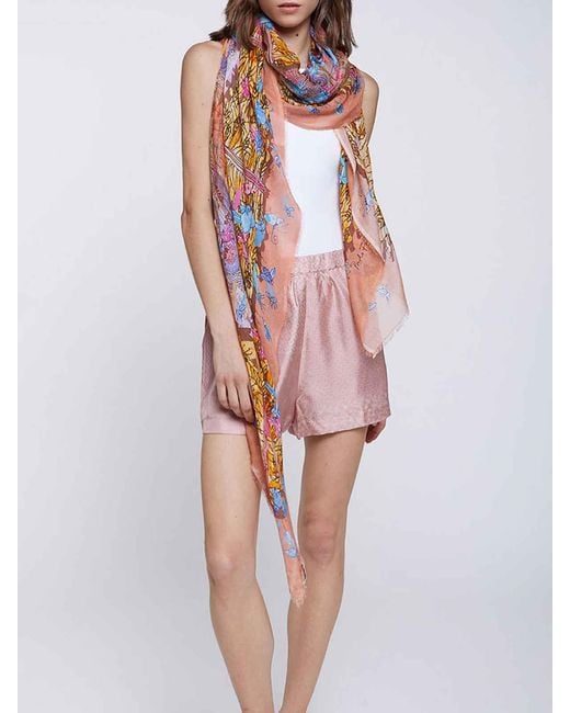 Faliero Sarti Pink In Collaboration