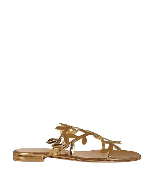 Gianvito Rossi Brown Elegant Flavia Mini Sandals For Fw24