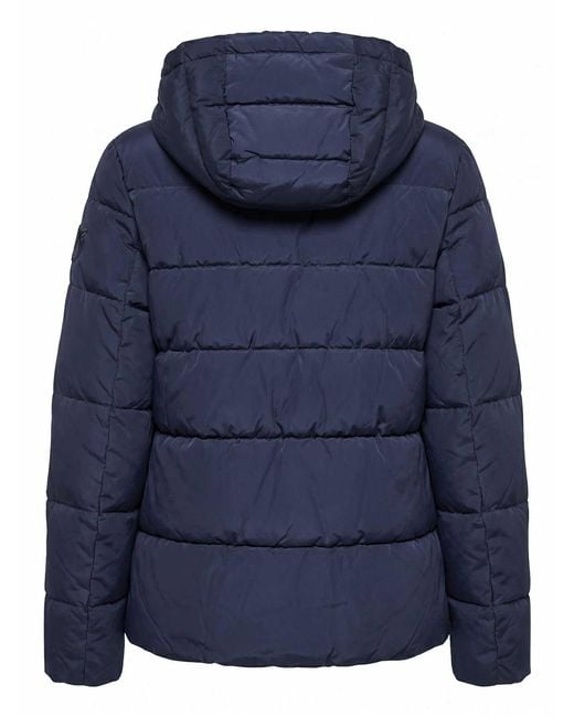 Pinko Blue Eleodoro Caban