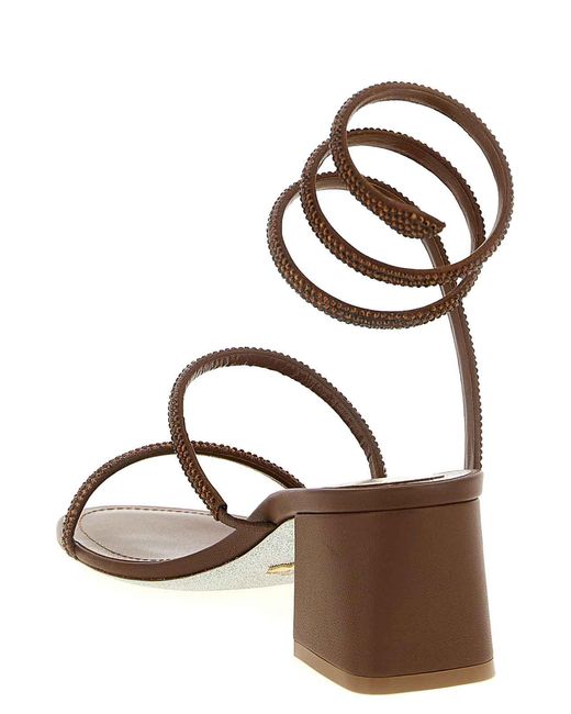 Rene Caovilla Pink Cleo Sandals