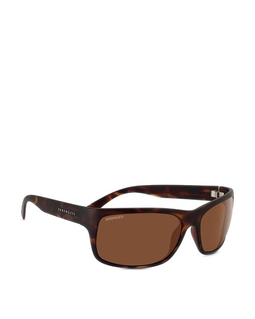Serengeti Blue Sunglasses for men