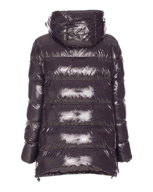 Herno Purple Stylish Jacket