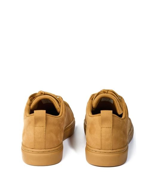 Paul Smith Brown Sneakers Lee Nubuk for men