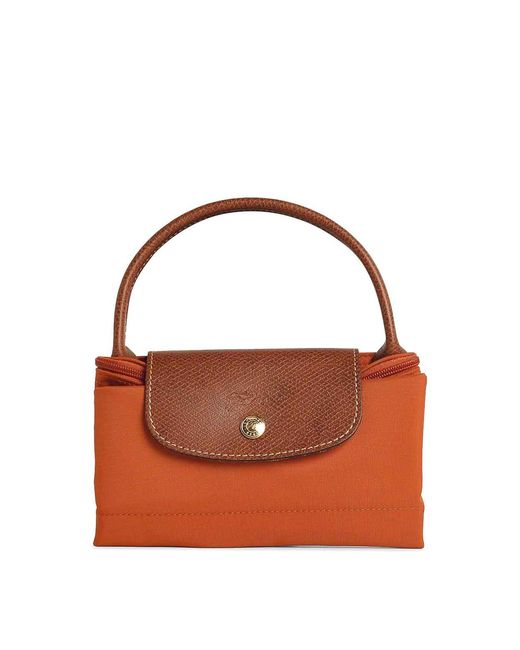 Sacca di Longchamp in Brown