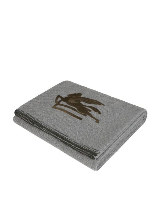 Etro Gray Beach Towel
