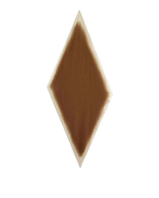 Sciarpa di Lardini in Brown da Uomo