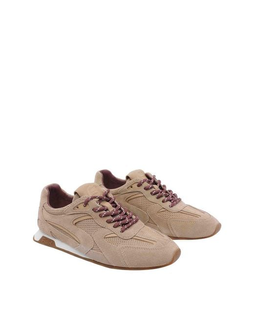 Ash Brown Kasar Sneakers