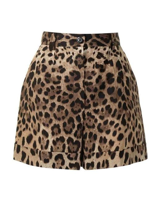 Dolce & Gabbana Multicolor High-Rise Leopard-Print Cotton Short Shorts