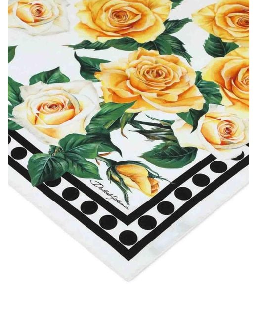 Dolce & Gabbana Black Rose Print Scarf