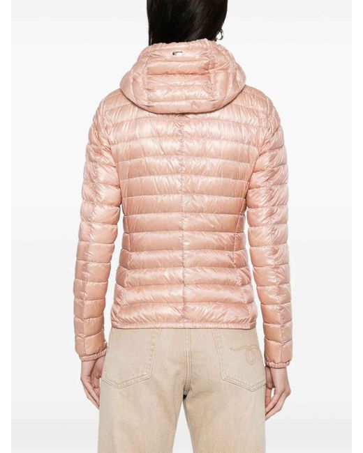 Herno Pink Nylon Short Down Jacket
