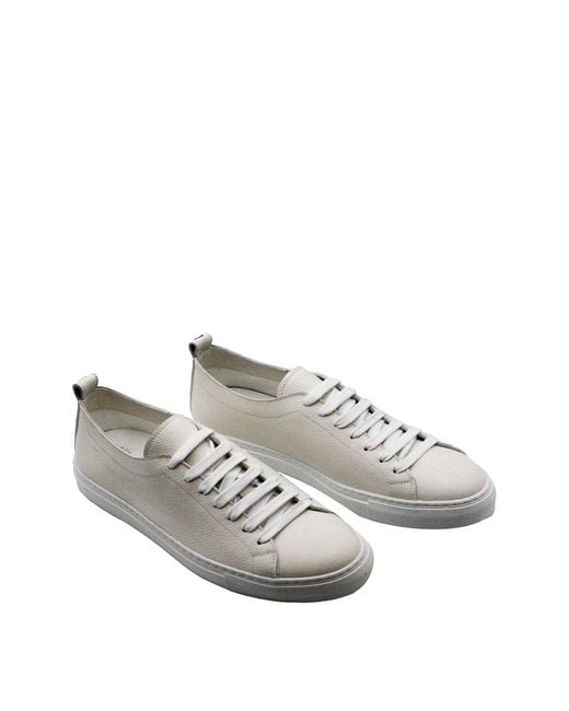 Barba Napoli Gray Sneakers for men