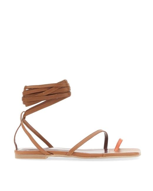 Staud Brown Nicola Gladiator Sandal