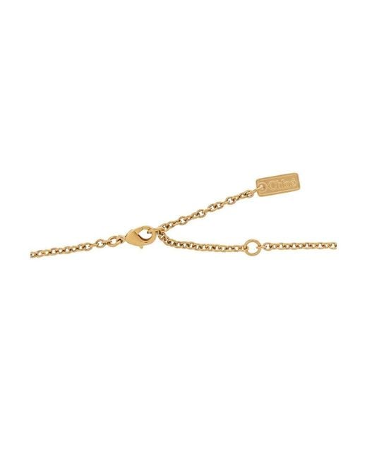 Chloé Metallic Choker Necklace