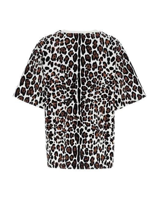 Dolce & Gabbana Black Animal Print Logo Plaque T-Shirt