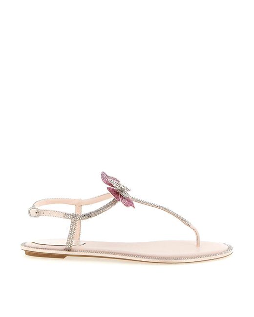 Rene Caovilla Multicolor Fairy Sandals