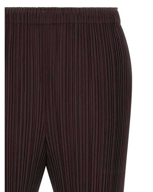 Pleats Please Issey Miyake Brown Monthly Colors July Pants