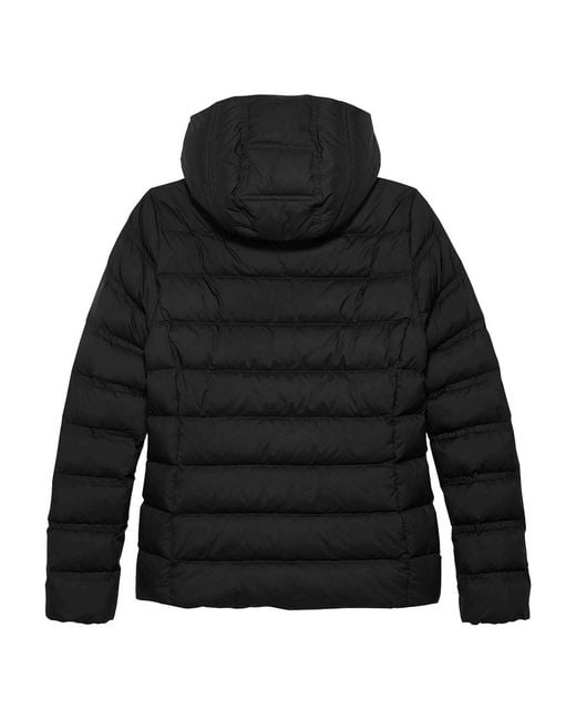 Tommy Hilfiger Black Jackets