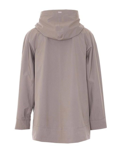 Herno Gray Jacket