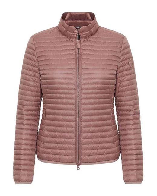 Colmar Pink Colmar Giaoni Rosa