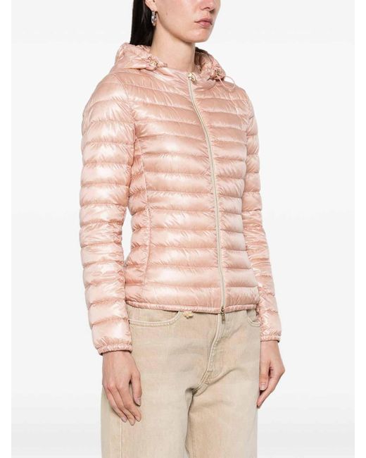 Herno Pink Nylon Short Down Jacket