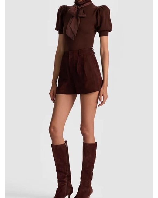 Alice + Olivia Brown Chase Sweater