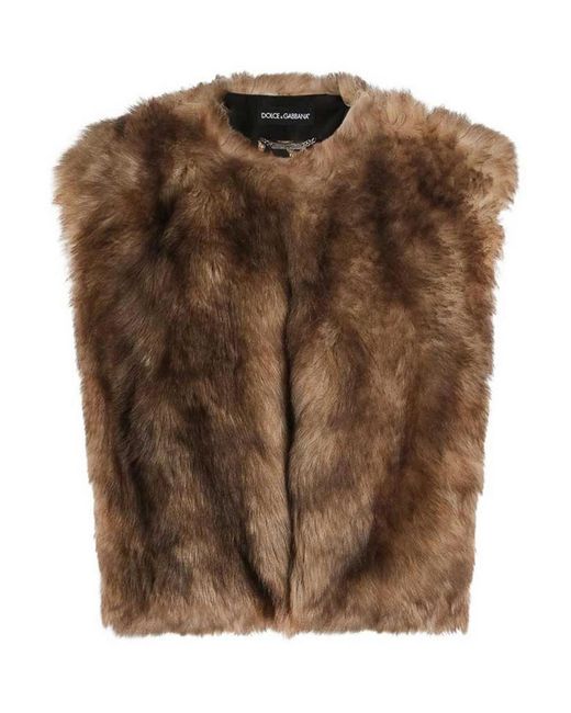 Dolce & Gabbana Brown Coat