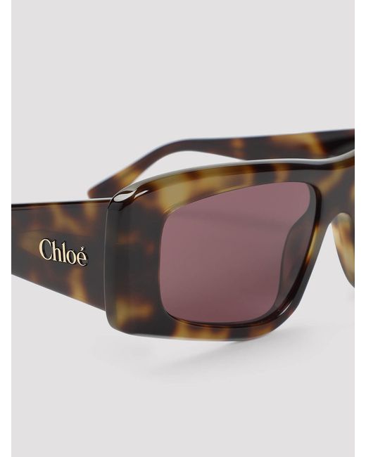 Chloé Brown Acetate Sunglasses