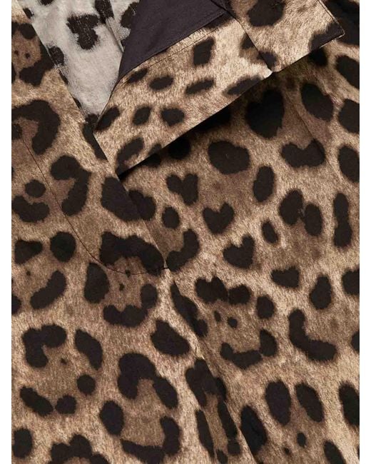 Dolce & Gabbana Multicolor High-Rise Leopard-Print Cotton Short Shorts
