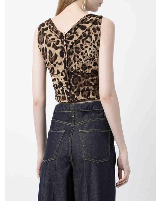 Dolce & Gabbana Brown Top Leo New