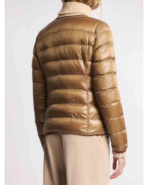 Fay Brown Light Girocbordgros+Caten