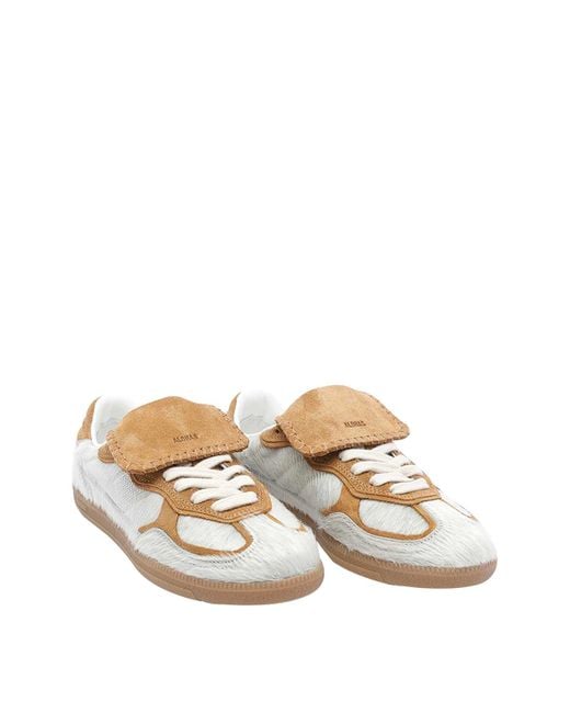 Alohas Brown Tb490 Club Sneakers