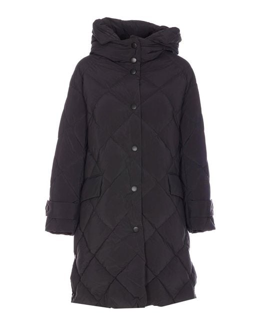 Tatras Blue Jacket