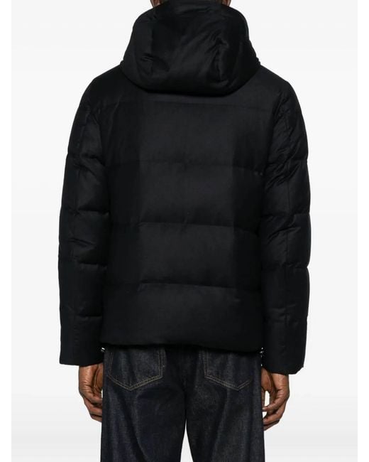 Montecore Black Down Padded Down Jacket for men